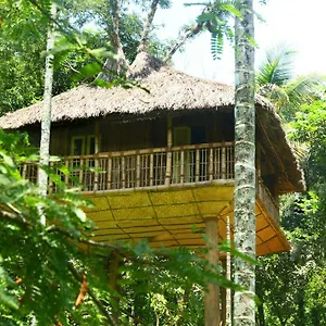 Kalidasa Tree House And Villa, Wayanad India